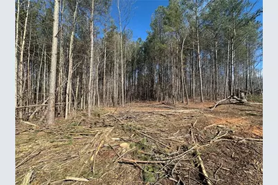 600 Chapman Ridge Lane, Dahlonega, GA 30533 - Photo 8