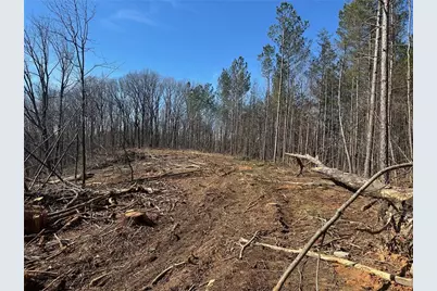 600 Chapman Ridge Lane, Dahlonega, GA 30533 - Photo 6