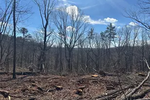 600 Chapman Ridge Ln, Dahlonega, GA 30533 - Photo 1