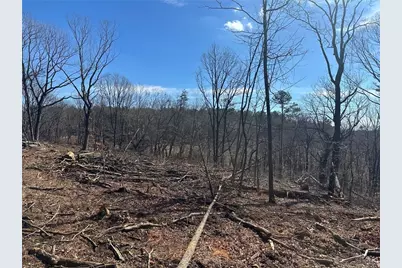 600 Chapman Ridge Lane, Dahlonega, GA 30533 - Photo 2