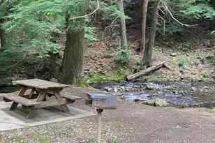 60 Clubhouse Ct, Ellijay, GA 30536 - Photo 50