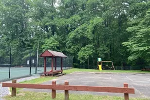 60 Clubhouse Ct, Ellijay, GA 30536 - Photo 54