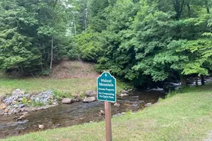 60 Clubhouse Ct, Ellijay, GA 30536 - Photo 48