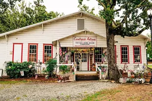 518 Winding Rose Dr, Hoschton, GA 30548 - Photo 76