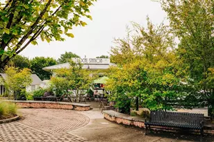 518 Winding Rose Dr, Hoschton, GA 30548 - Photo 62