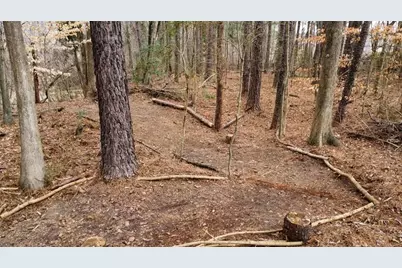 3855 Laurel Falls Drive, Snellville, GA 30039 - Photo 34