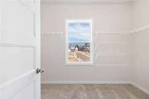 357 Scarlett Rose Way, Hoschton, GA 30548 - Photo 22