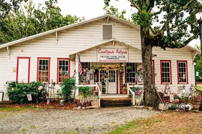 357 Scarlett Rose Way, Hoschton, GA 30548 - Photo 72