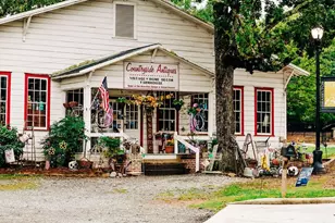 357 Scarlett Rose Way, Hoschton, GA 30548 - Photo 66