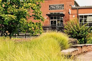 339 Scarlett Rose Way, Hoschton, GA 30548 - Photo 98