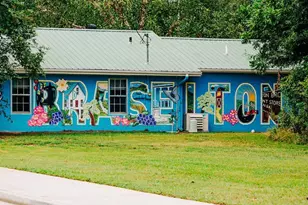 339 Scarlett Rose Way, Hoschton, GA 30548 - Photo 50