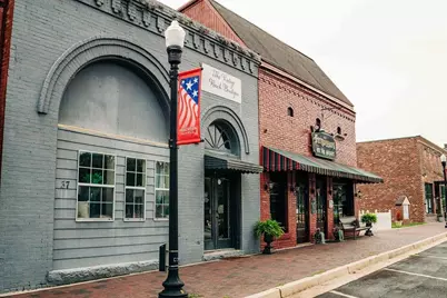 339 Scarlett Rose Way, Hoschton, GA 30548 - Photo 82