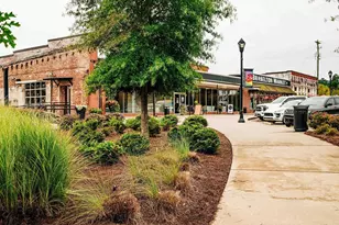 339 Scarlett Rose Way, Hoschton, GA 30548 - Photo 86