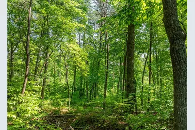 Lot 34 Winfield Circle, Blue Ridge, GA 30513 - Photo 4