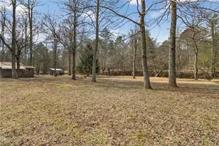 110 Old Indian Trail, Blue Ridge, GA 30513 - Photo 60