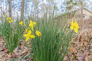 3300 Union Church Road SW, Stockbridge, GA 30281 - Photo 44