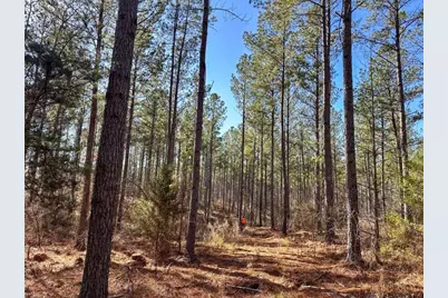32 Acr Tract 14, Lyerly, GA 30730 - Photo 2