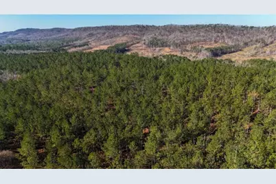 32 Acr Tract 14, Lyerly, GA 30730 - Photo 6