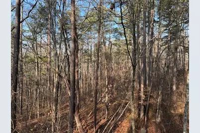 0 Lower Sweetwater Road, Canton, GA 30114 - Photo 20