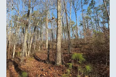 0 Lower Sweetwater Road, Canton, GA 30114 - Photo 26