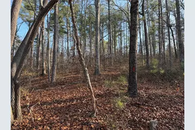 0 Lower Sweetwater Road, Canton, GA 30114 - Photo 22