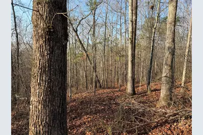 0 Lower Sweetwater Road, Canton, GA 30114 - Photo 1