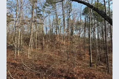 0 Lower Sweetwater Road, Canton, GA 30114 - Photo 10