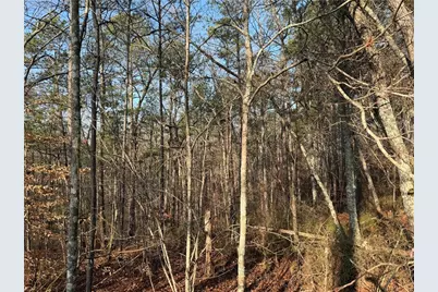 0 Lower Sweetwater Road, Canton, GA 30114 - Photo 16