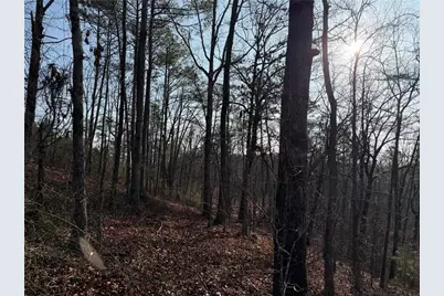 0 Lower Sweetwater Road, Canton, GA 30114 - Photo 14