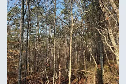 0 Lower Sweetwater Road, Canton, GA 30114 - Photo 2