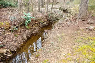 98 Sedgefield Overlook, Dallas, GA 30157 - Photo 48