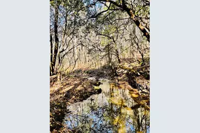 2197 Damascus Road, Ball Ground, GA 30107 - Photo 8