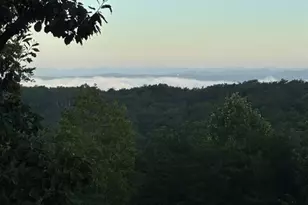 1688 Mulberry Cir, Jasper, GA 30143 - Photo 84