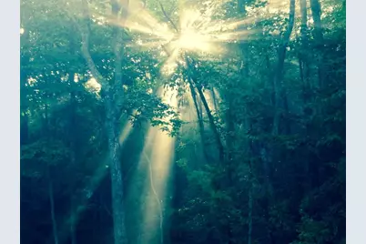 1688 Mulberry Circle, Jasper, GA 30143 - Photo 74