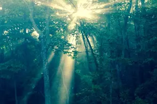 1688 Mulberry Cir, Jasper, GA 30143 - Photo 74