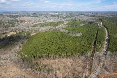 0 Macedonia Church Road, Buchanan, GA 30113 - Photo 4