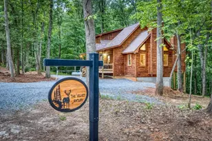 64 Windy Valley Ln, Blue Ridge, GA 30513 - Photo 86