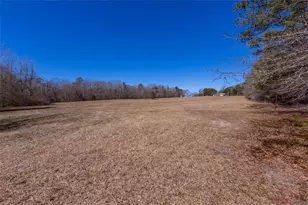 605 Rowe Rd, Senoia, GA 30276 - Photo 78