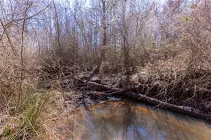 605 Rowe Rd, Senoia, GA 30276 - Photo 80