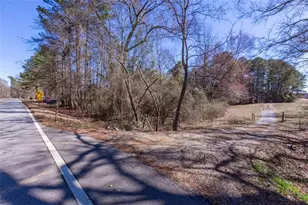 605 Rowe Rd, Senoia, GA 30276 - Photo 84