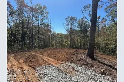 3.71 Yancy Drive, Dawsonville, GA 30534 - Photo 4