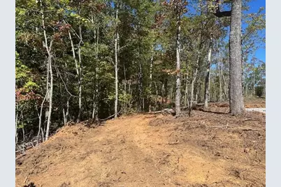 3.71 Yancy Drive, Dawsonville, GA 30534 - Photo 6