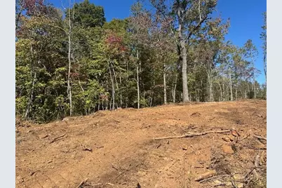 3.71 Yancy Drive, Dawsonville, GA 30534 - Photo 2