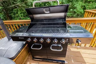 2 Watson Gap Rd, Mineral Bluff, GA 30559 - Photo 16