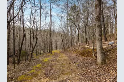 1547 Whitestone Road, Talking Rock, GA 30175 - Photo 68