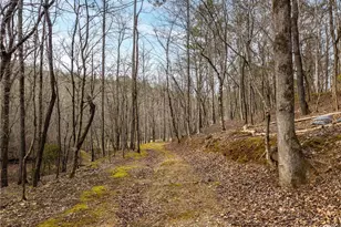 1547 Whitestone Rd, Talking Rock, GA 30175 - Photo 68