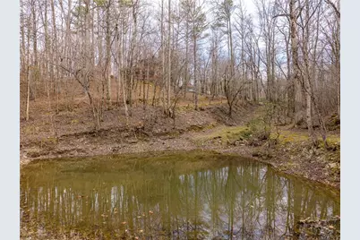 1547 Whitestone Road, Talking Rock, GA 30175 - Photo 70