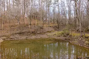 1547 Whitestone Rd, Talking Rock, GA 30175 - Photo 70