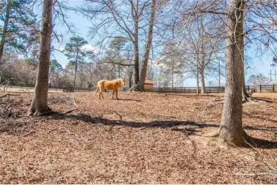 4302 Franklin Goldmine Road, Cumming, GA 30028 - Photo 46