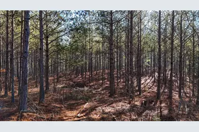 0 Gaylor Road, Lyerly, GA 30730 - Photo 4